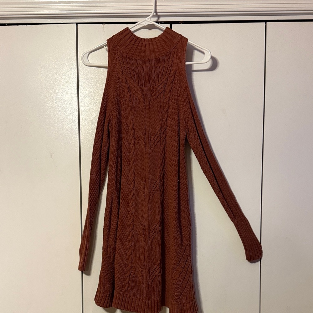 Express Terracotta Knit Sweater